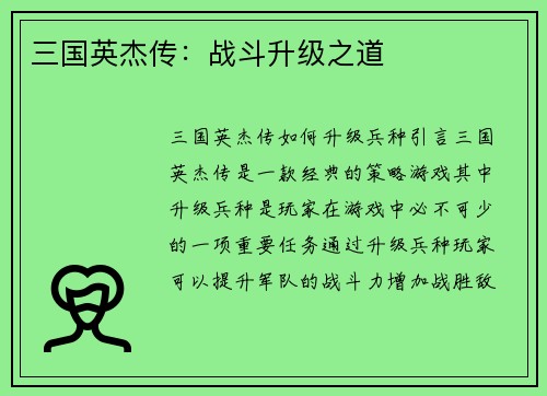 三国英杰传：战斗升级之道